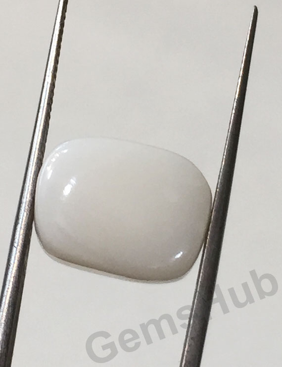9.96 ct Natural Certified  White Coral/सफ़ेद मूंगा
